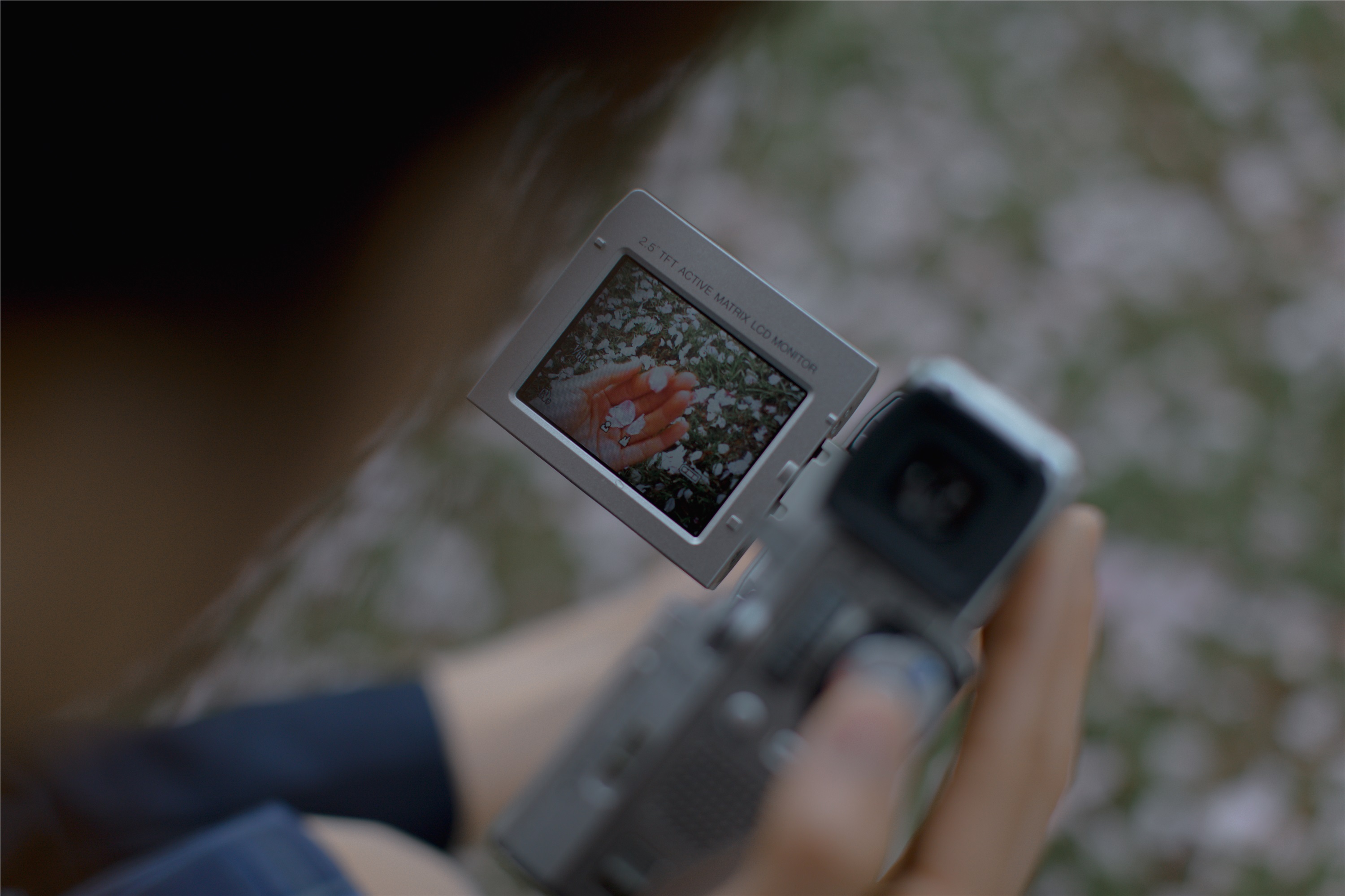 YITUYU艺图语 2021.09.02 樱花渐落 汤兮兮